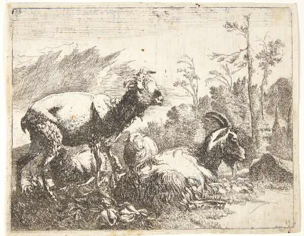 Johann Heinrich Roos, Stående og liggende får, i midten et får med klokke