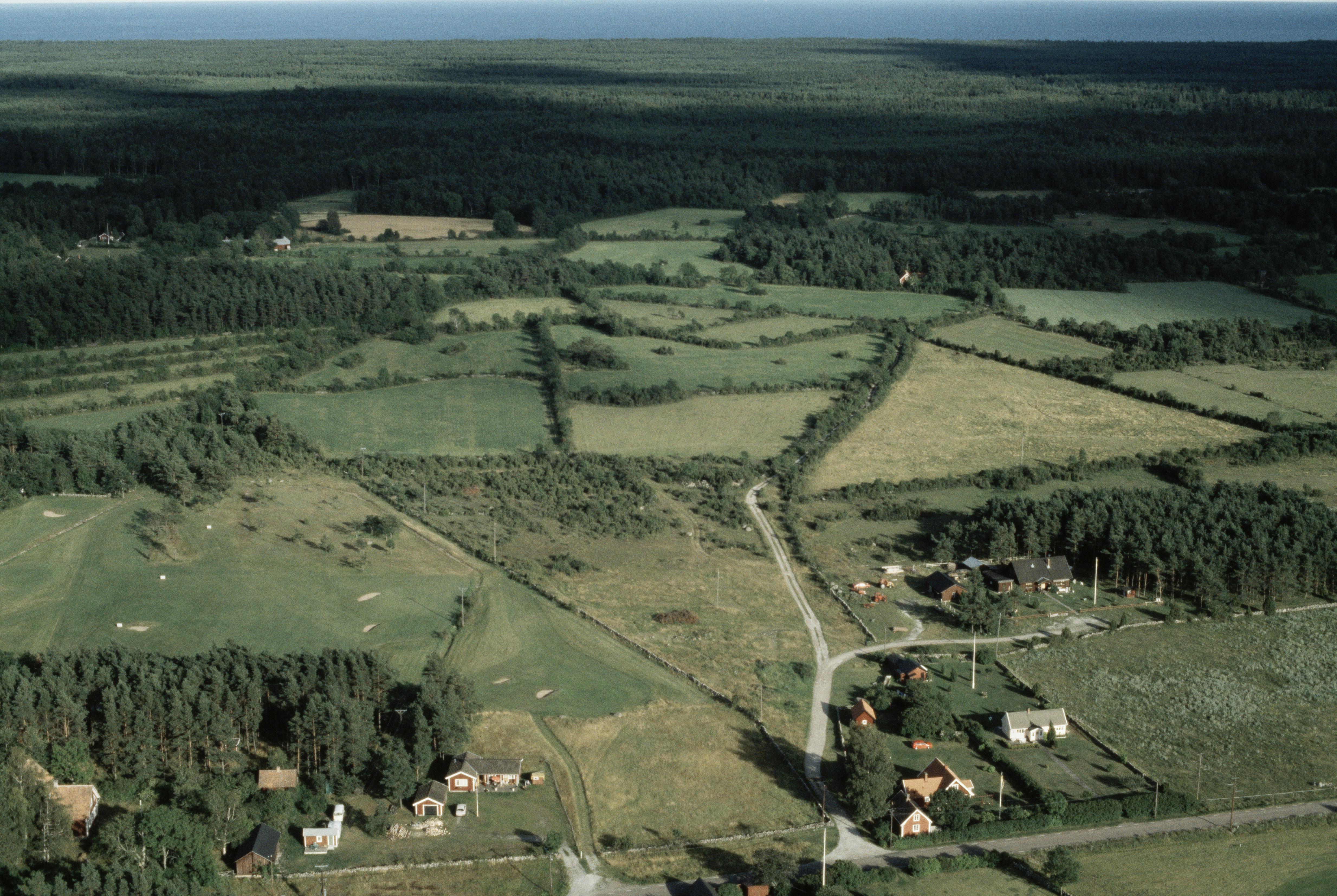 Jan Norrman, Enerum