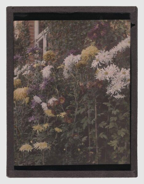 Unknown, Garden study