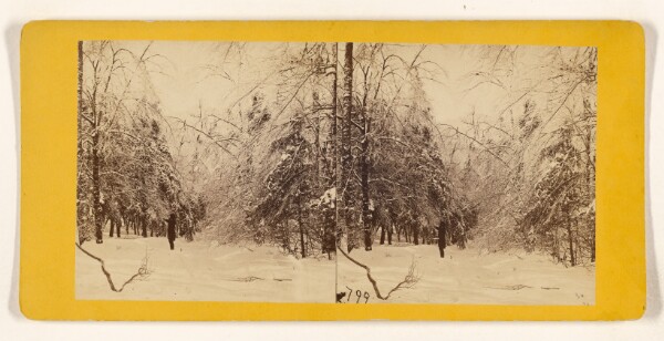 Edward and Henry T. Anthony & Co., Winter in the Catskills. [Ice and Snow]