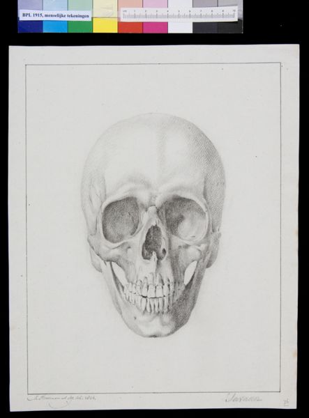M Houtman, Skull of a Javanese