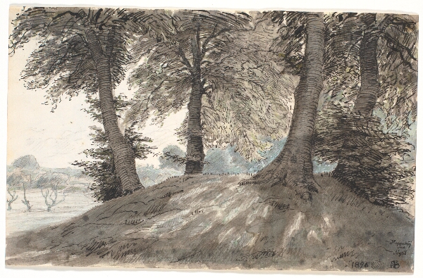 Niels Skovgaard, "Hoppehøj ved Nysø"