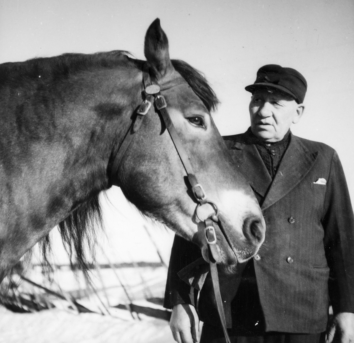 Anno Domkirkeodden, Dyri gard i Løten. Paul Svevad og hest. Hestekar.