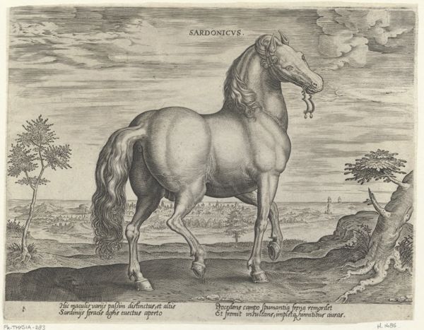 Collaert, Hans, (approximately 1530-1581), (printmaker), The stable of Don Juan of Austria: Sardonicus