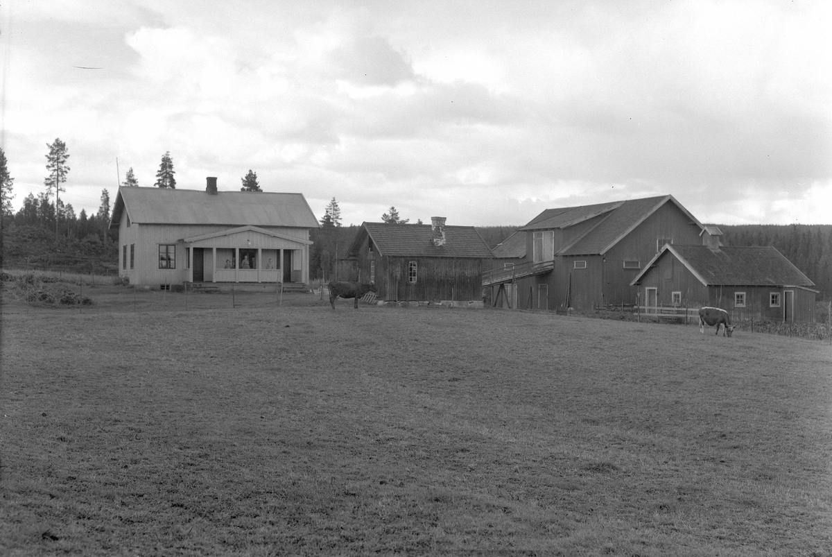 Anno Domkirkeodden, EKSTR: GARDSTUN, BRÅTEN, LØTEN. Se Løtenboka, bind 2. Bygdeboka fra 1953, side 103