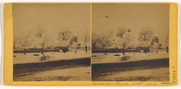 Carleton Watkins, [Winter Scene, Salt Lake]