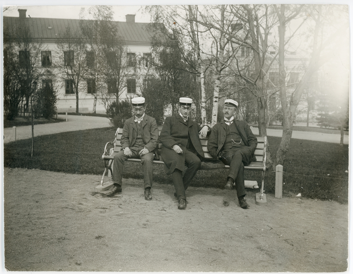 Okänd,, Tre män iklädda kostym och studentmössor sittande på bänk i Universitetsparken, Uppsala omkring 1900
