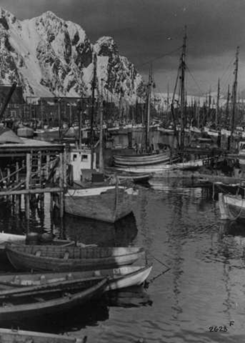 Anders Beer Wilse, -5881