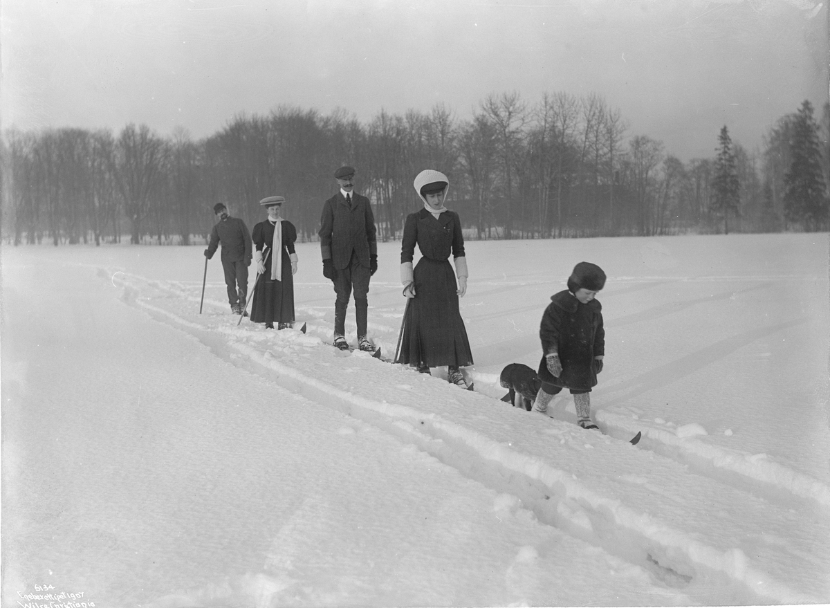 Anders Beer Wilse, Prot: De Kongelige paa Ski Følge i fart 31/1 1907