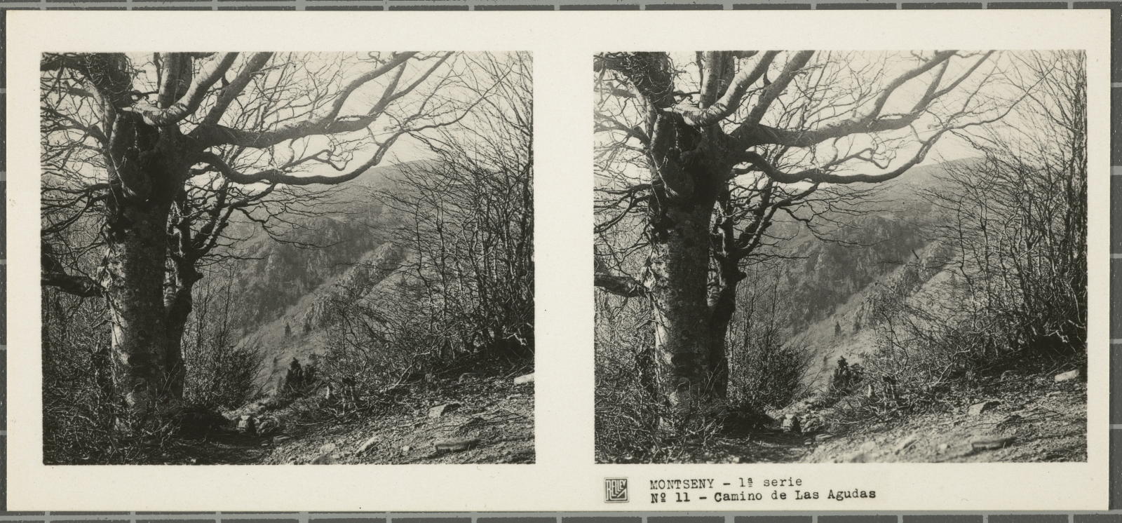 Desconegut, Montseny (Barcelona-Gerona)