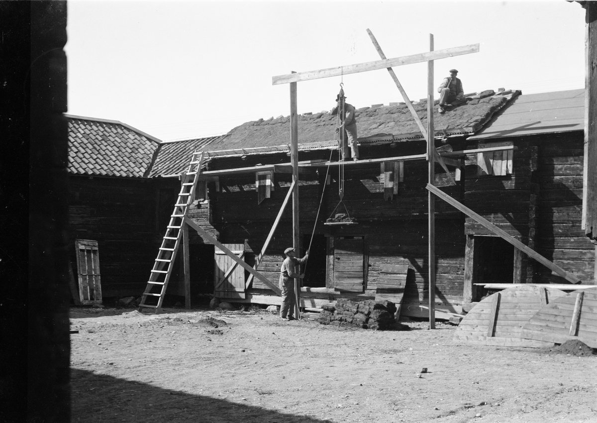 Paul Sandberg, Läggning av torvtak på loftbod på Gränbygården, friluftsmuseet Disagården, Gamla Uppsala 1930 - 1931