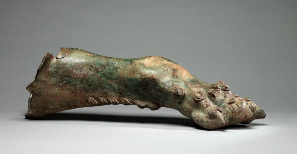 Unknown, Paw from Statue of a Lion