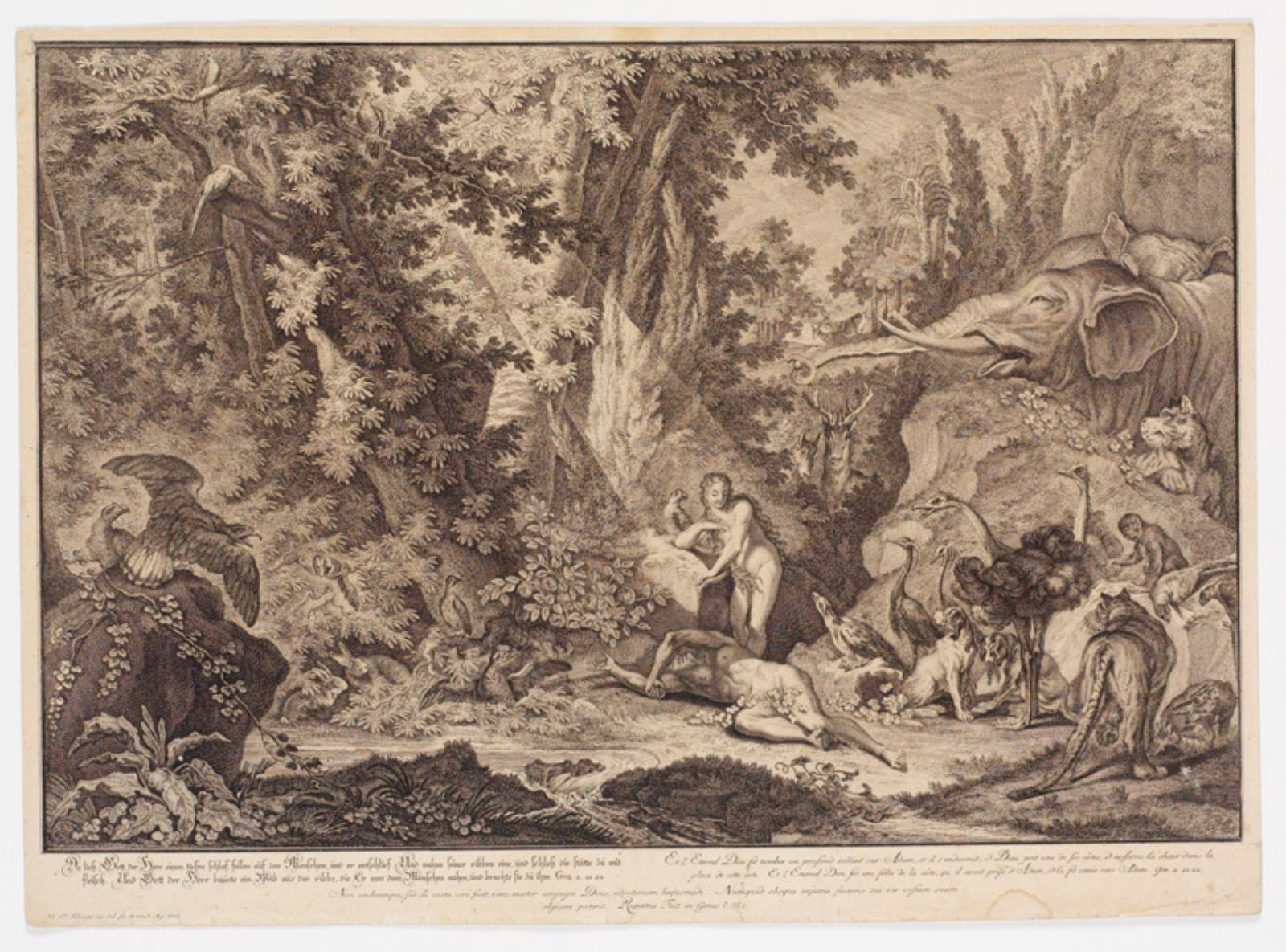 Johann Elias Ridinger, Evas skabelse