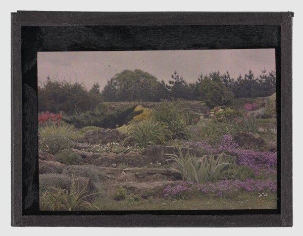 Unknown, Abbots Wood
