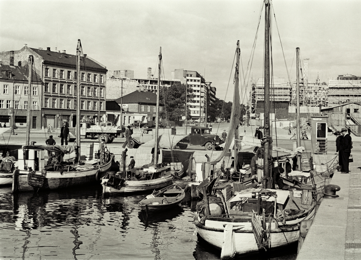 Anders Beer Wilse, Prot: Piperviken Fiskebrygge