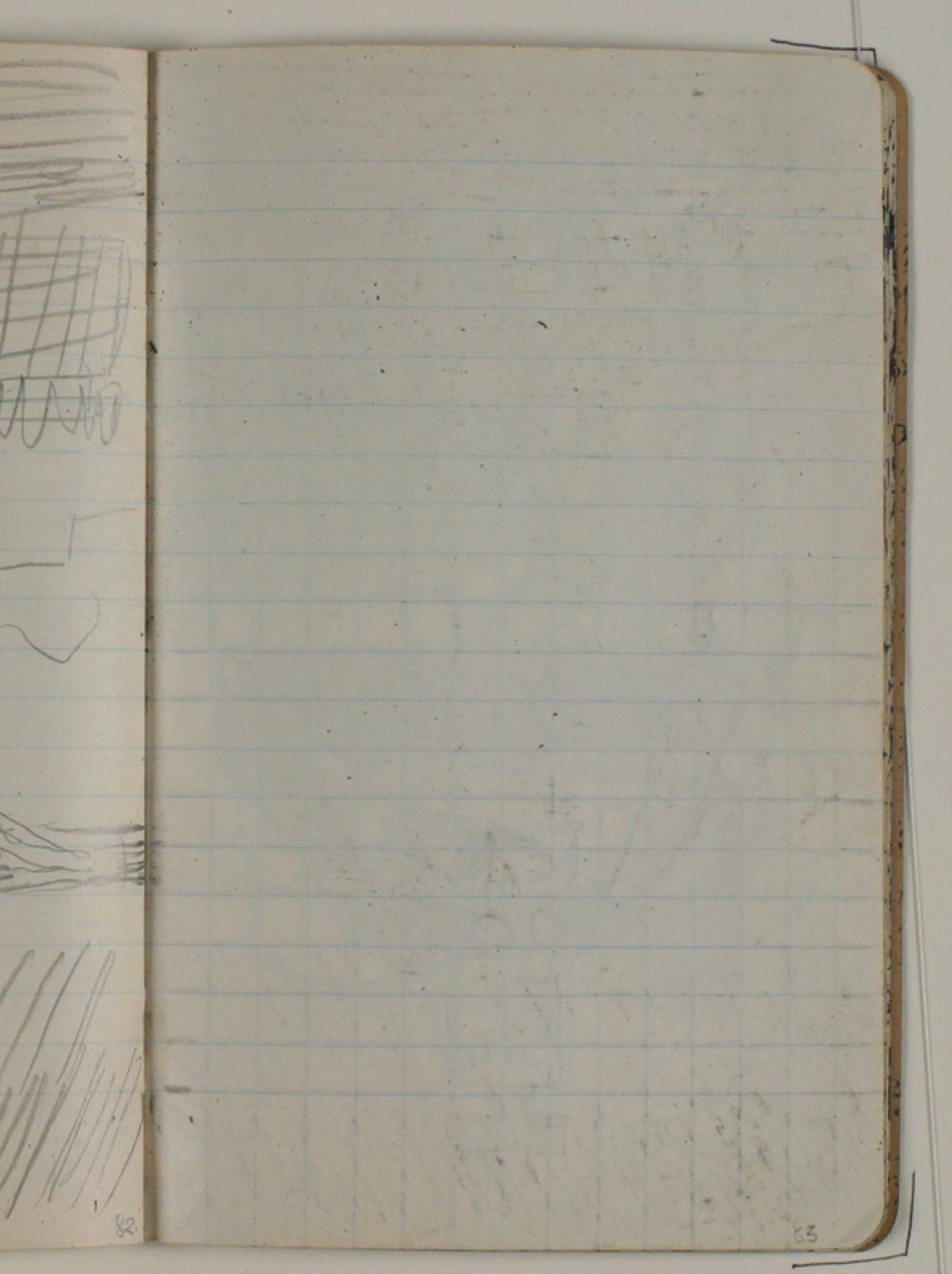 Niels Larsen Stevns, Blank
