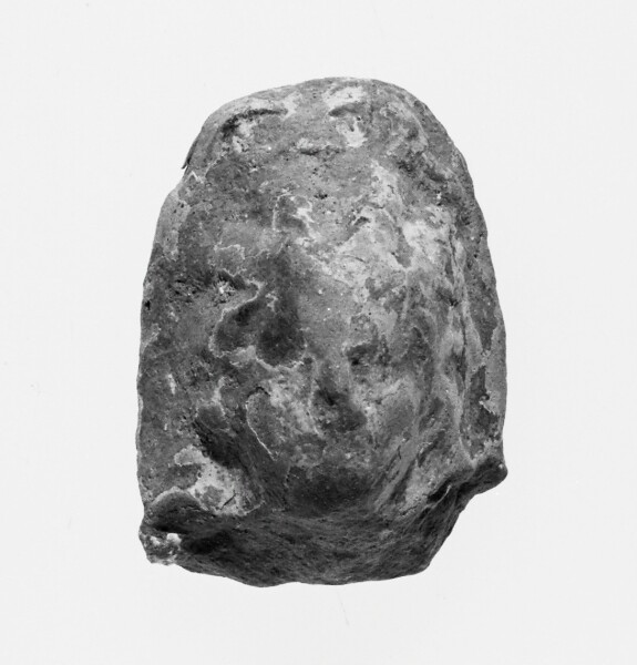 Unknown, Female Head