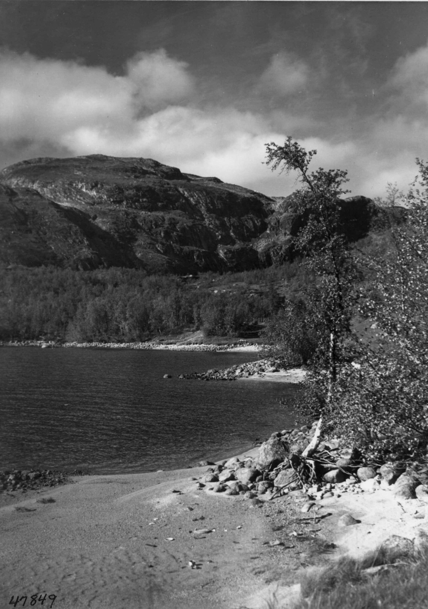 Anders Beer Wilse, Hamaren, Skindalsnåsa, Mosvatnet