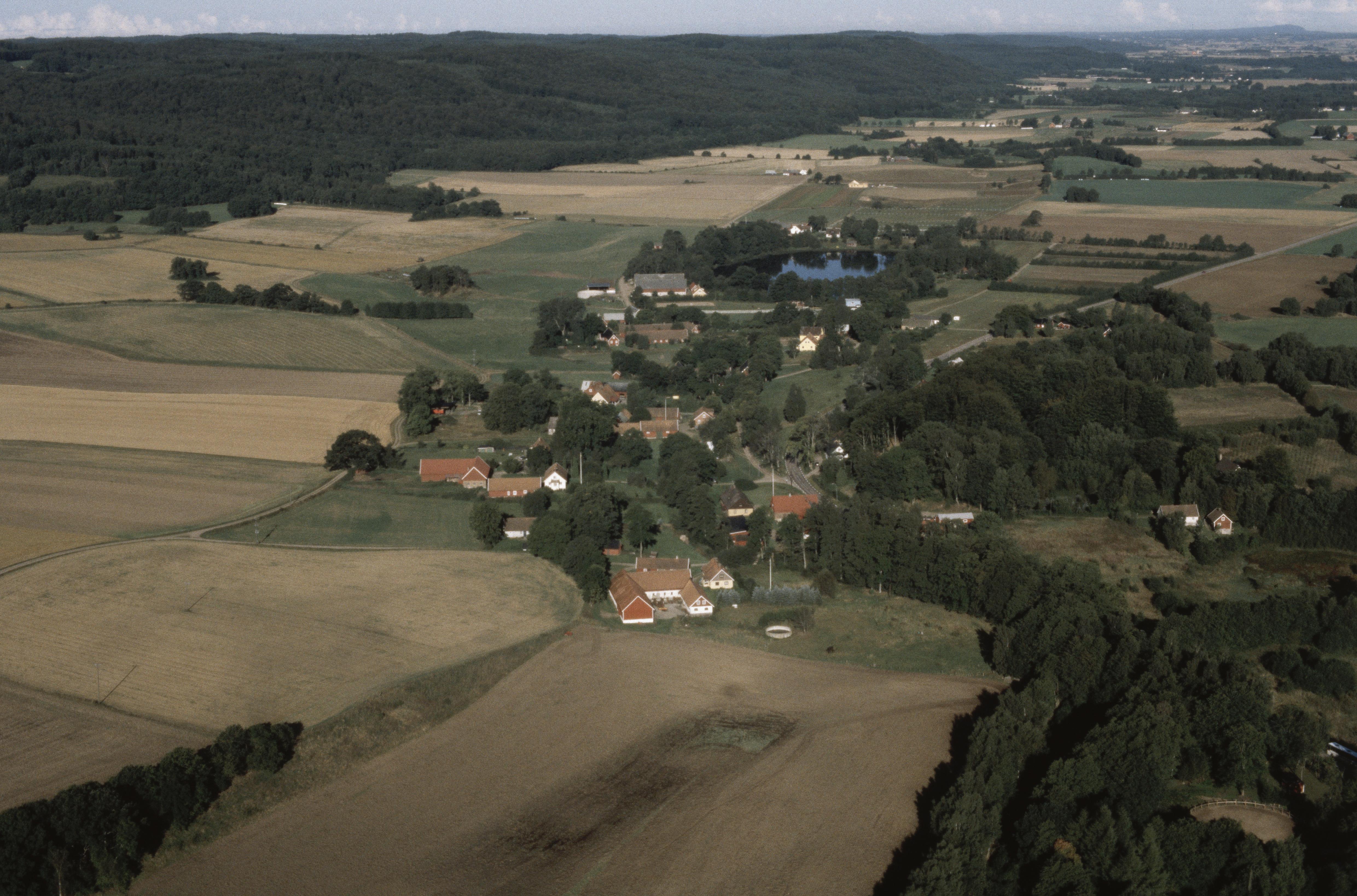 Jan Norrman, Riseberga 209:1