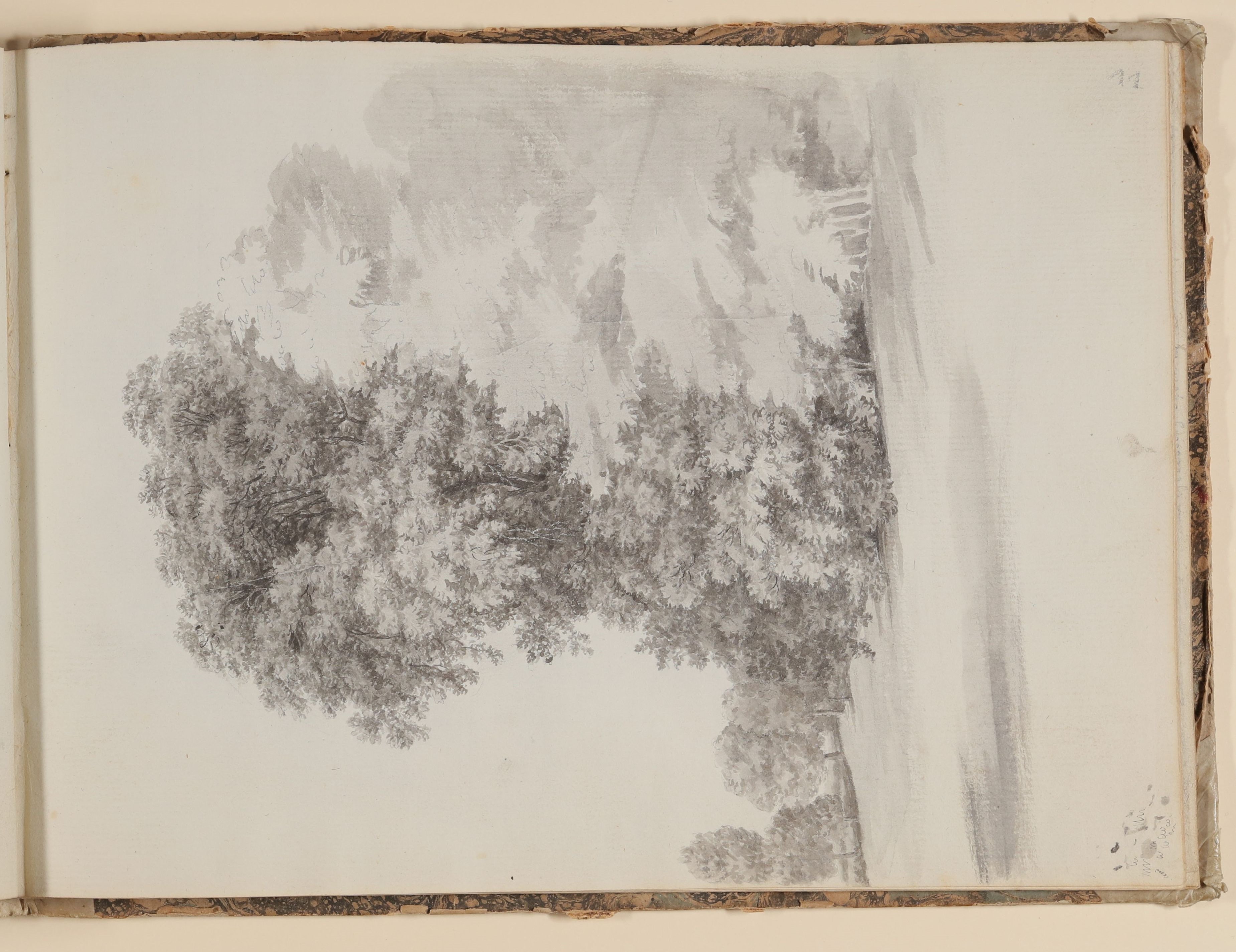 Rosette Städel, Parklandschaft mit Baumgruppe, unvollendet [aus einem Skizzenbuch der Rosette Städel, Blatt 11]