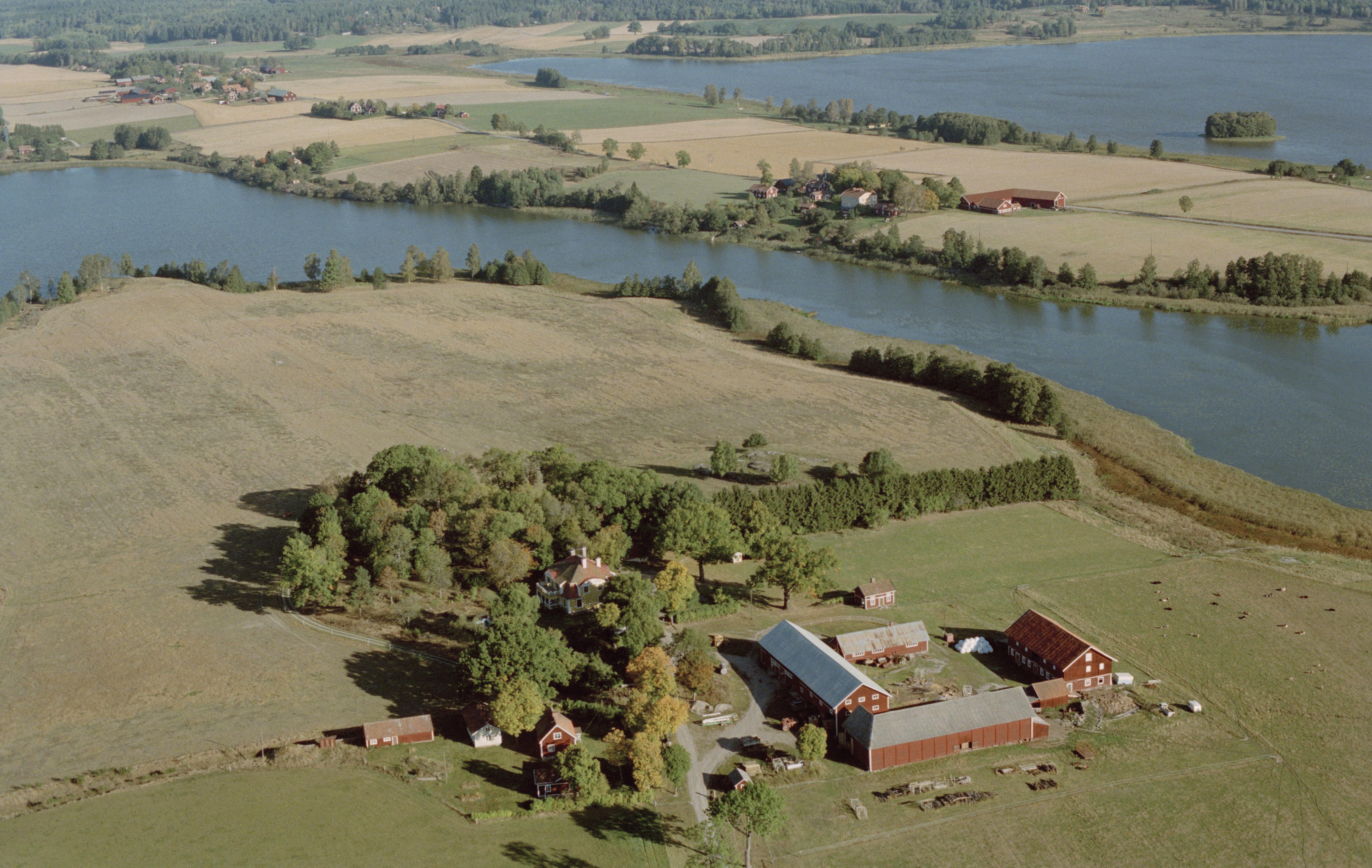 Jan Norrman, Gåsinge-Dillnäs 432:1