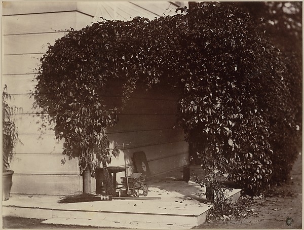 Alfred Capel Cure, American Creeper, Blake House