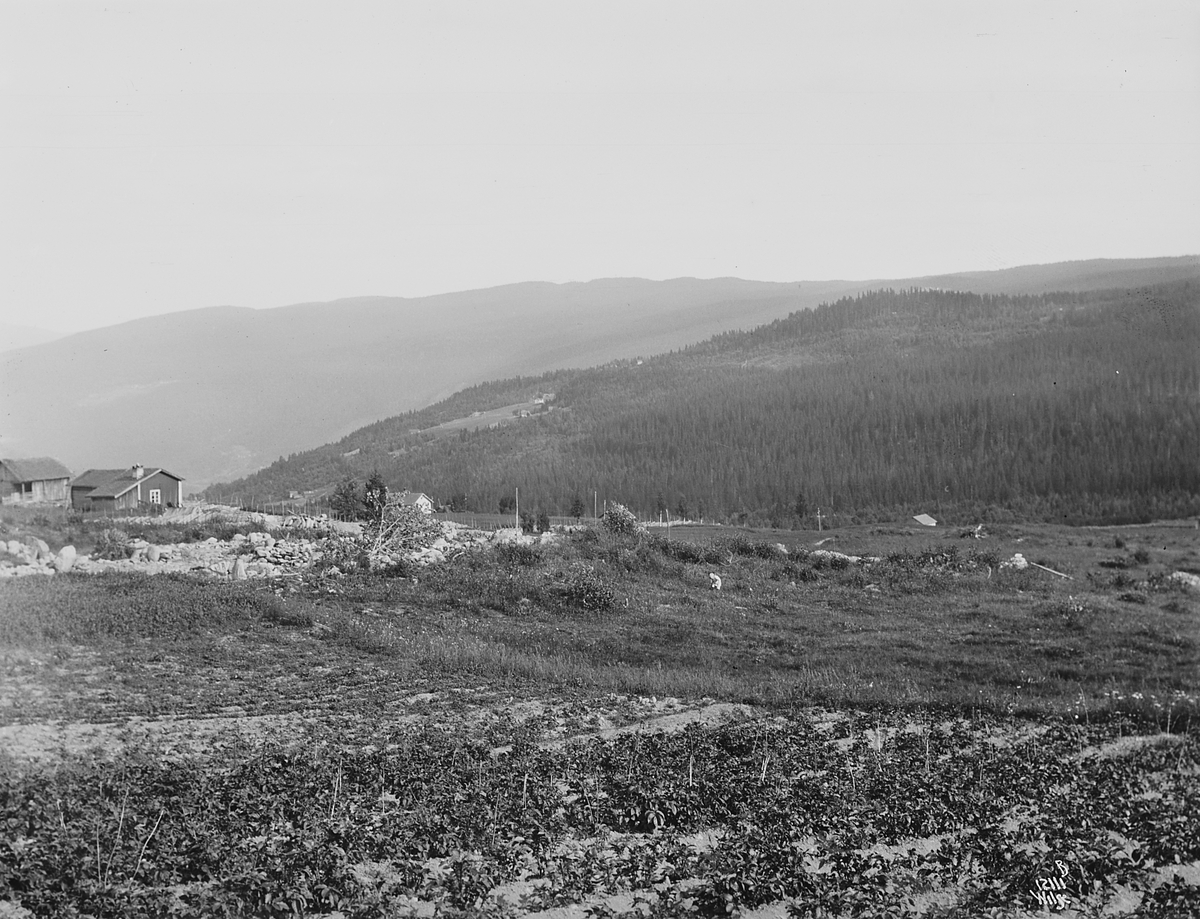 Anders Beer Wilse, Konv: Wulfsberg pano 2