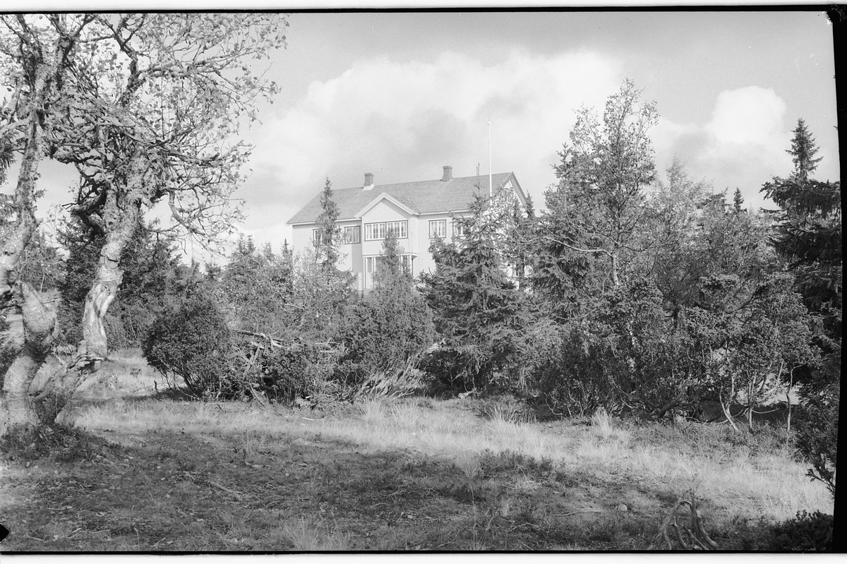 Håkon Prestkværn, HYGGA PENSJONAT, LJØSHEIM, Ringsaker.