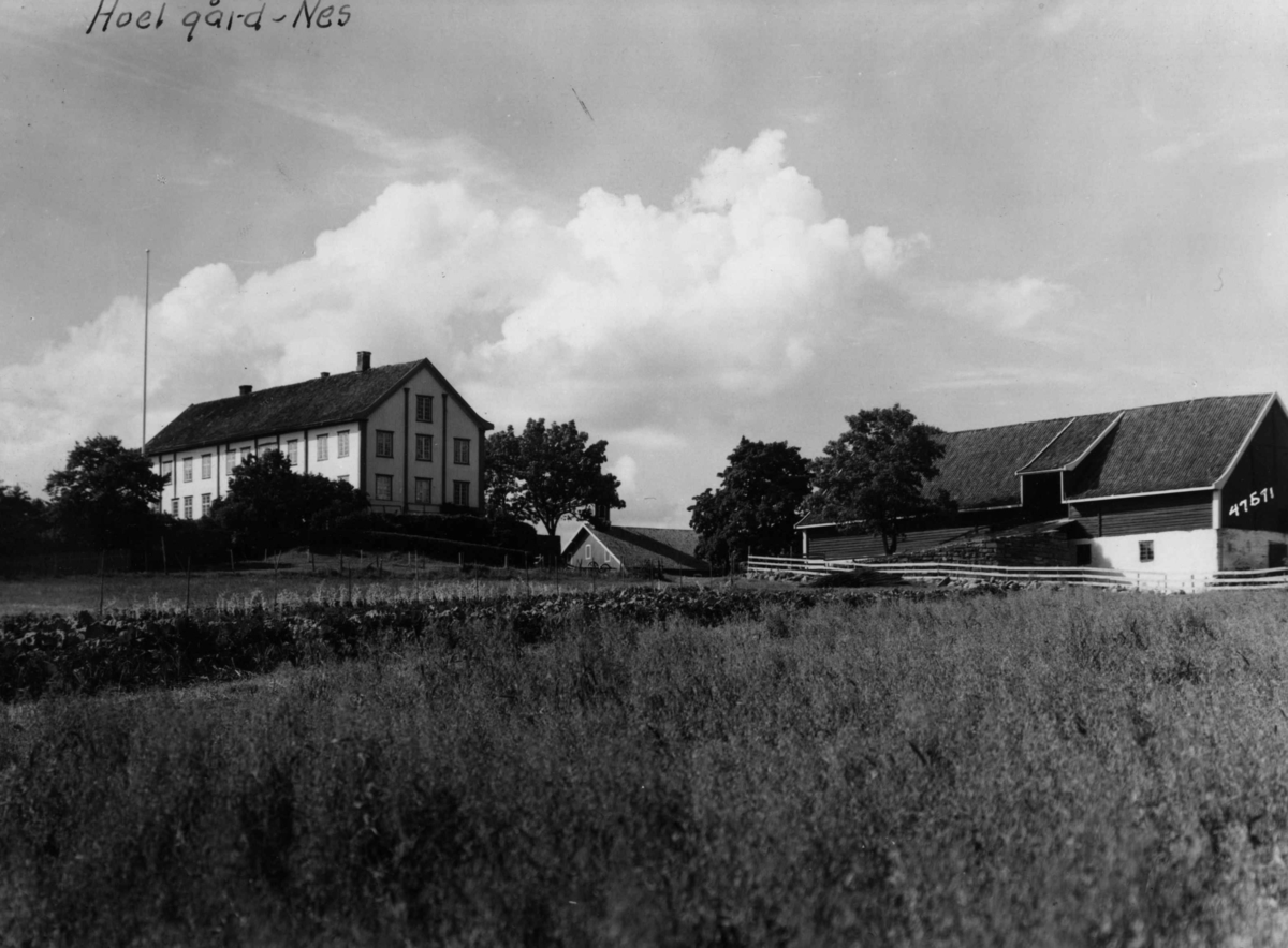 Anders Beer Wilse, Hoel gård