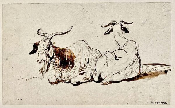 George Chinnery, Two goats