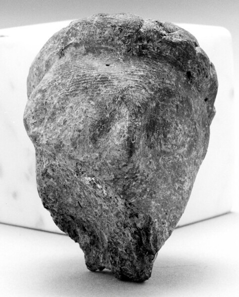 Unknown, Male Head