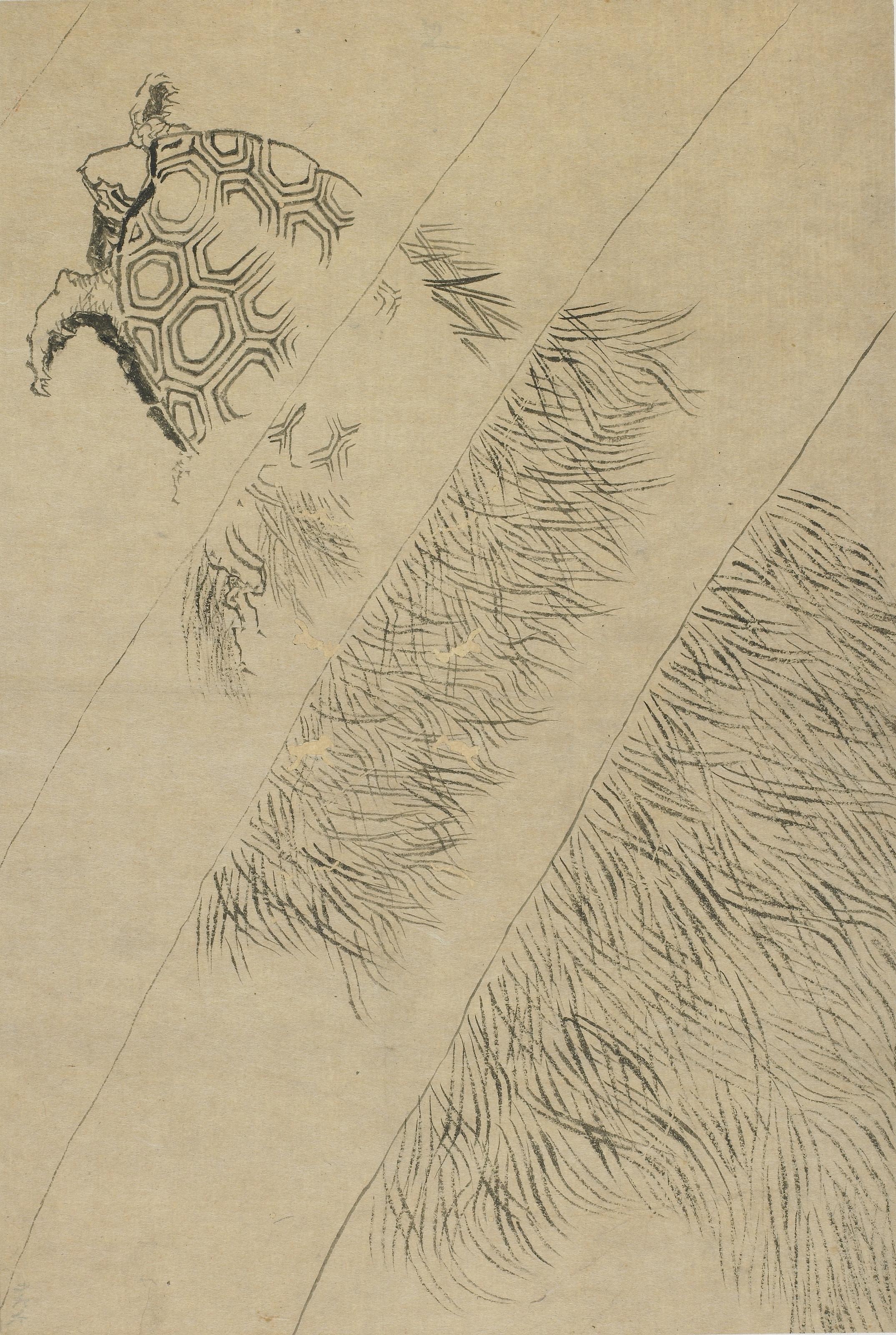 Katsushika Hokusai, Swimming turtle amongst sea-weeds