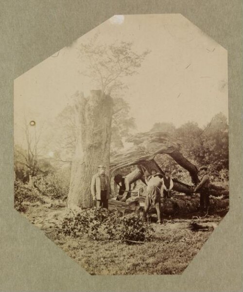 Clementina, Lady Hawarden, Photograph