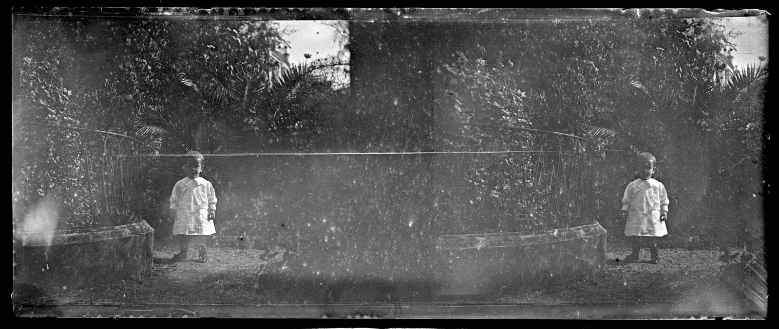 Desconegut, [Private garden]