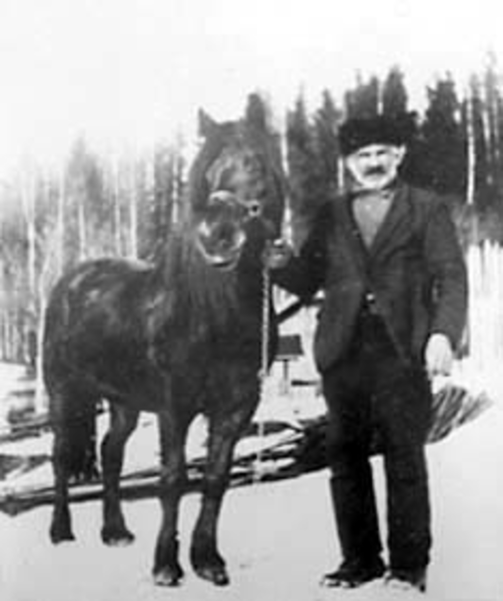 Anno Domkirkeodden, ENER NORDLI MED HEST, NORDLI, VALLSET