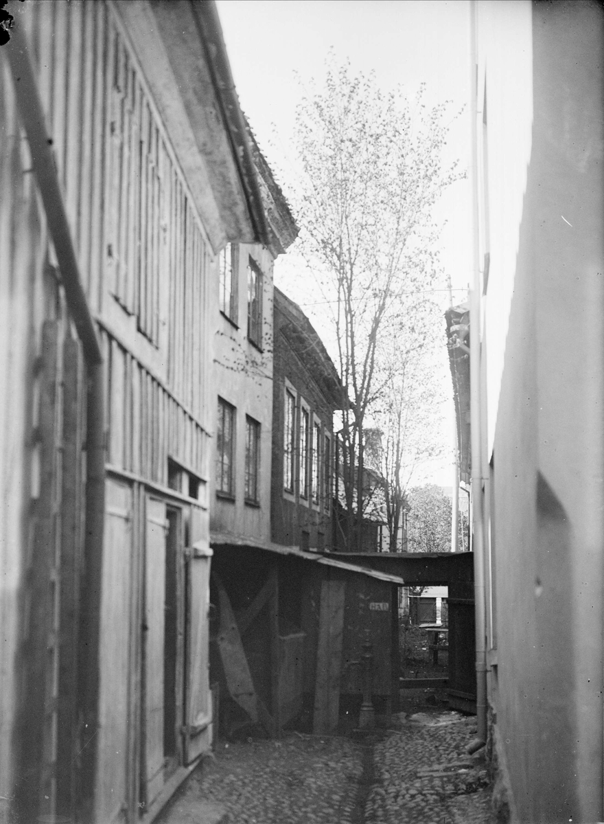 Alfred Dahlgren, Kvarteret Duvan, Vårfrugränd, Dragarbrunn, Uppsala 1901 - 1902