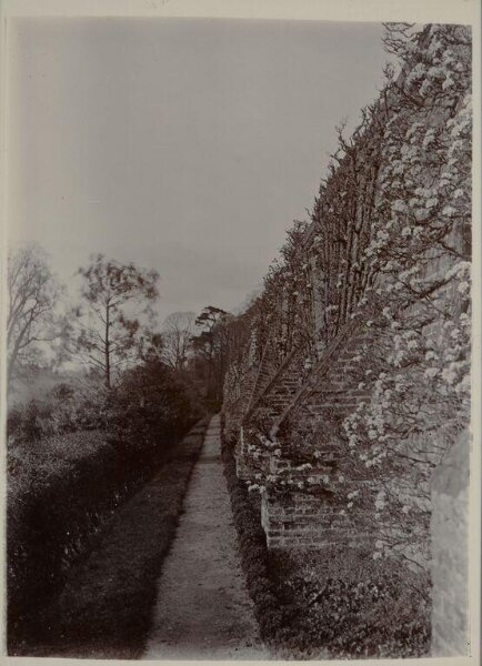 Unknown, Photograph