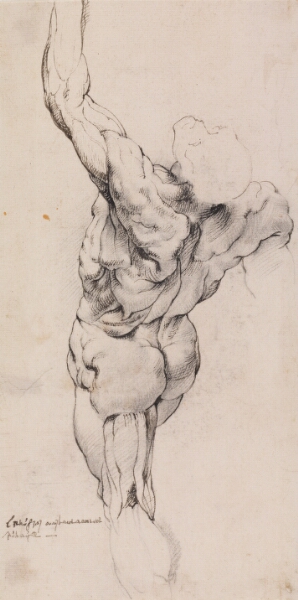 Willem Panneels, Anatomisk studie (écorché). En gående, flået mand set bagfra, halvt venstredrejet