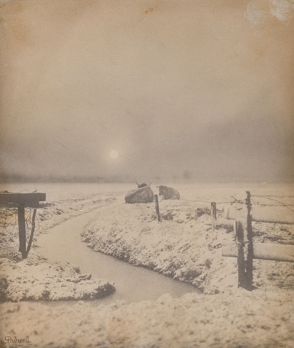 Pierre Dubreuil, Soleil couchant sur les marais en neige