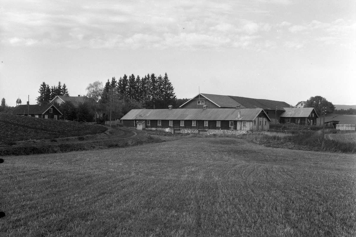 Anno Domkirkeodden, EKSTR: GARDSTUN, HØINGSTAD, LØTENHØNNINGSTAD NEDRE. Se Løtenboka, bind 1. Bygdeboka fra 1949, side 116