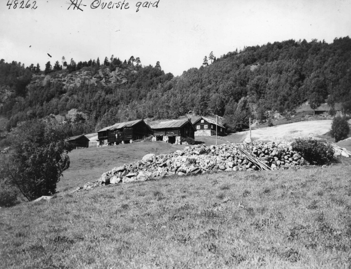 Anders Beer Wilse, Hovet overste gård, Bebyggelse