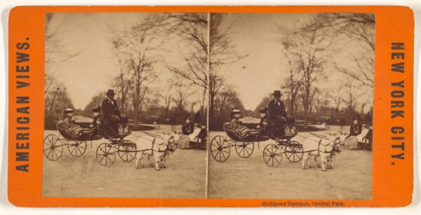 Unknown, Childrens Carriage, Central Park.