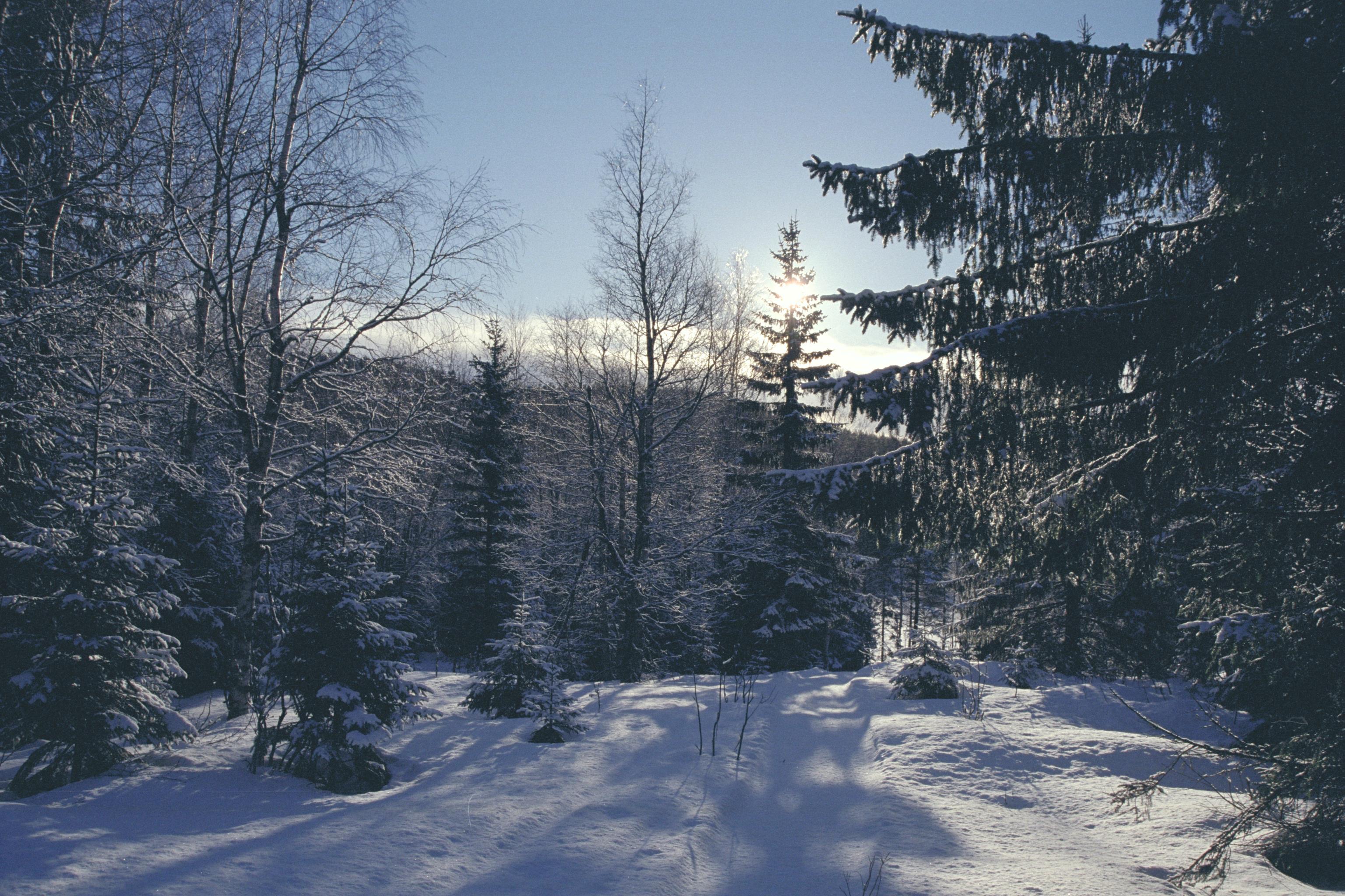Bengt A Lundberg, Skuleskogens Nationalpark