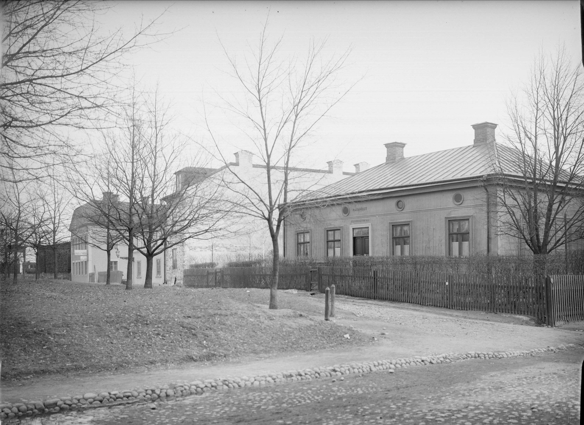 Alfred Dahlgren, Bäverns gränd - Kungsgatan, Kungsängen, Uppsala 1901 - 1902