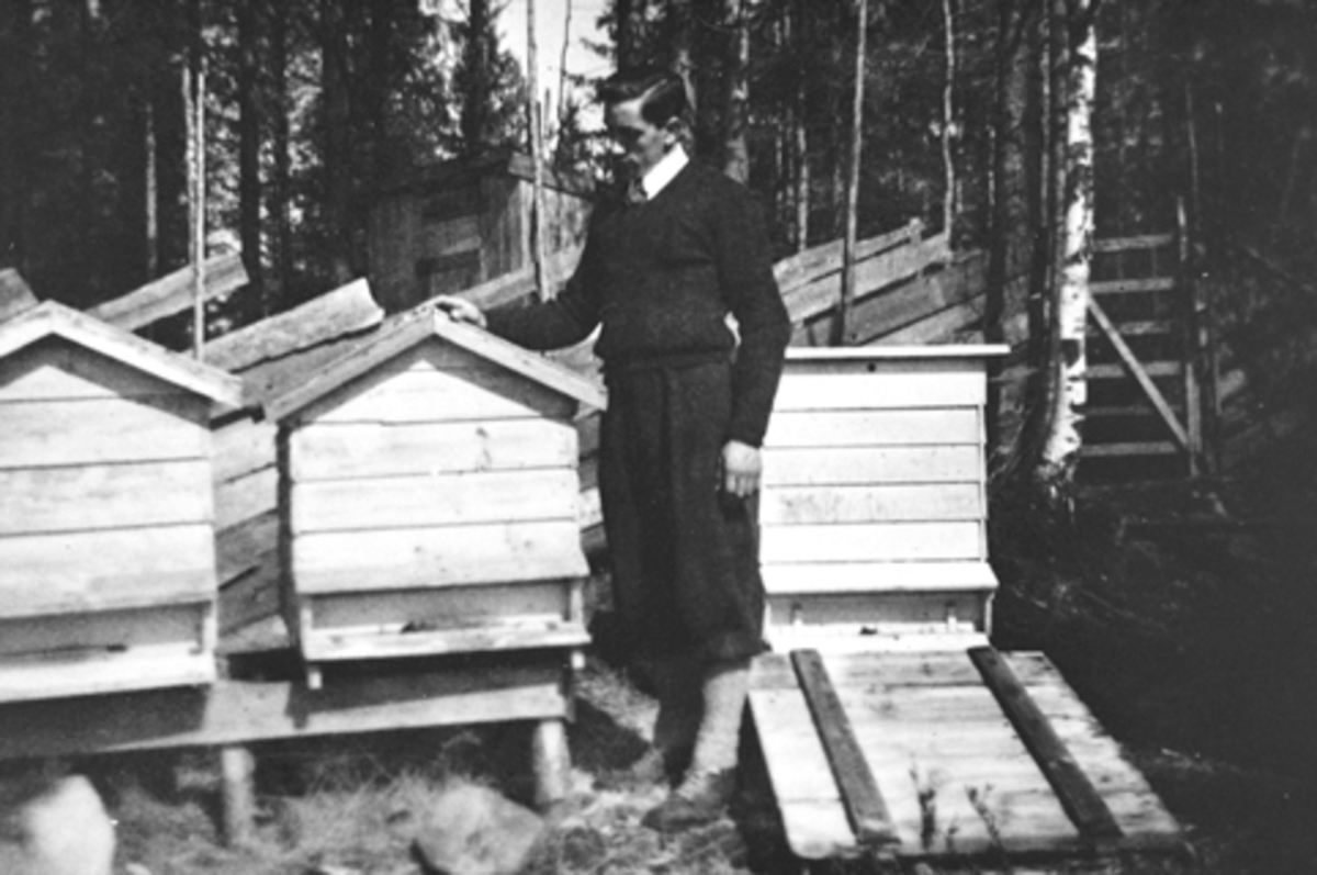 Anno Domkirkeodden, ROLF SJØLI. BIRØKTER. BIKUBER. HAUKÅSEN.