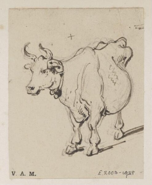 George Chinnery, A cow