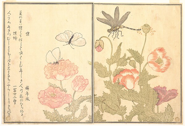 Kitagawa Utamaro, Butterfly (Chō); Dragonfly (Kagerō or Tonbo), from the Picture Book of Crawling Creatures (Ehon mushi erami)