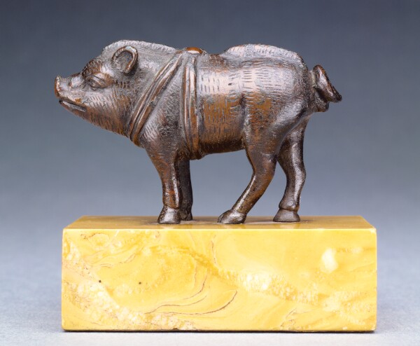 Unknown, Young Boar