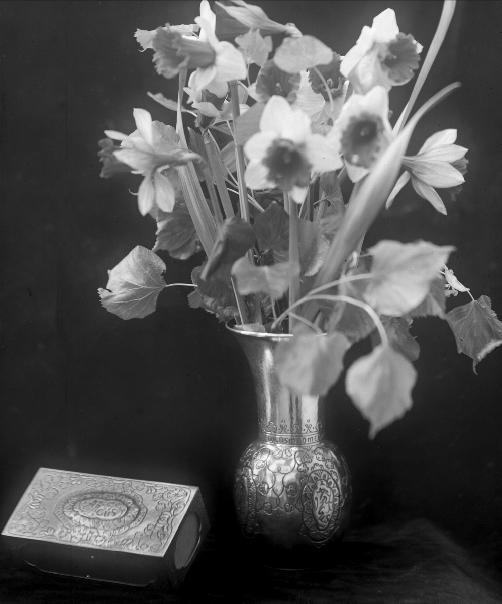 Gustav Borgen, NFB.24828