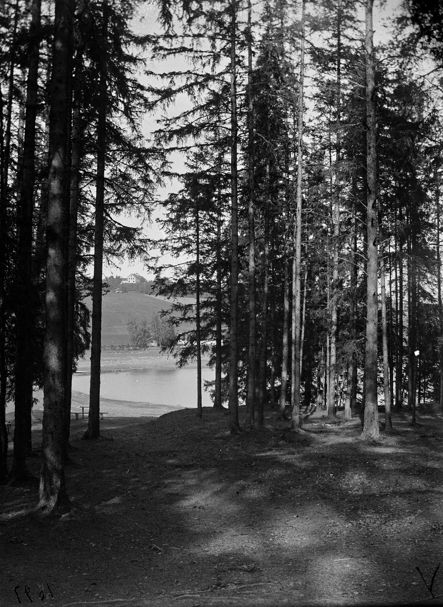 Jacob Tollesen Hoel, Hovinsholmen på Helgøya, Mjøsa. Holmstøen og gården sett fra Holmen 1897.